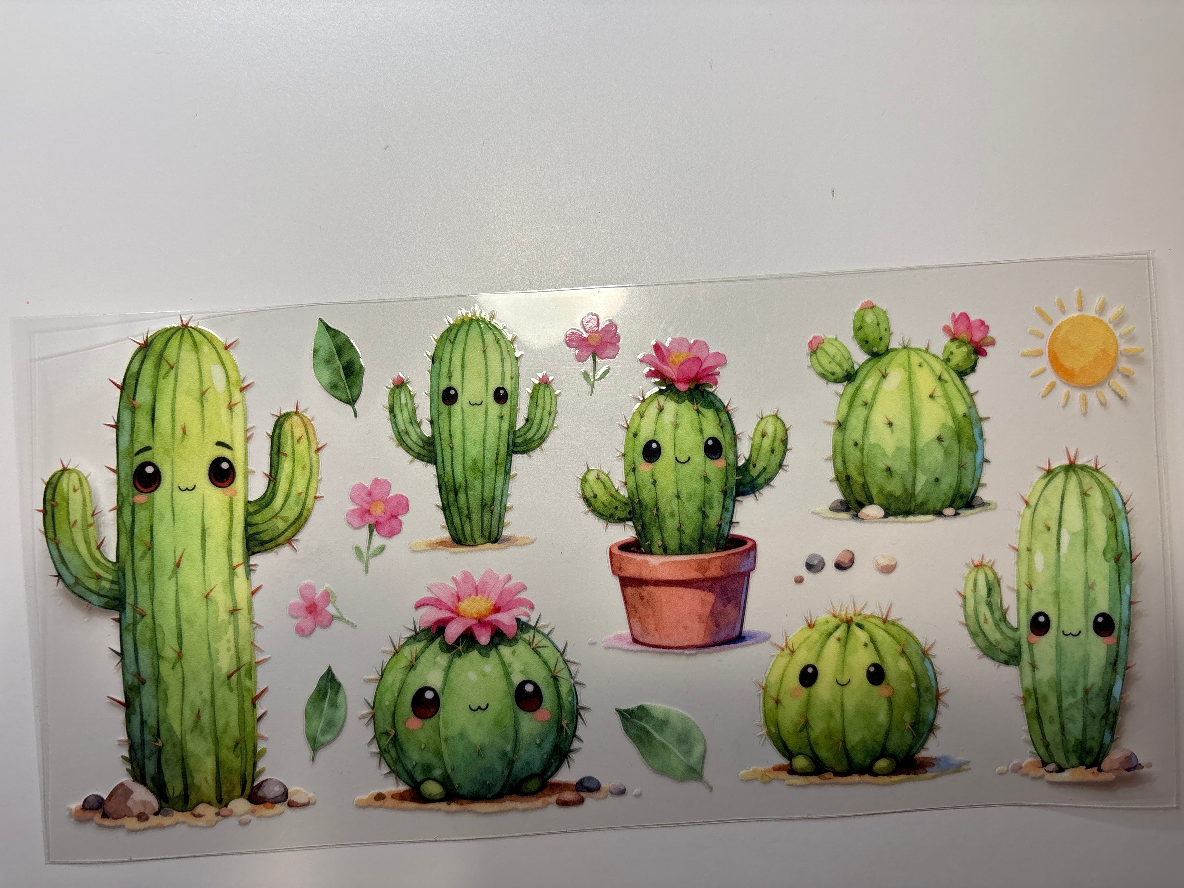 Cactus