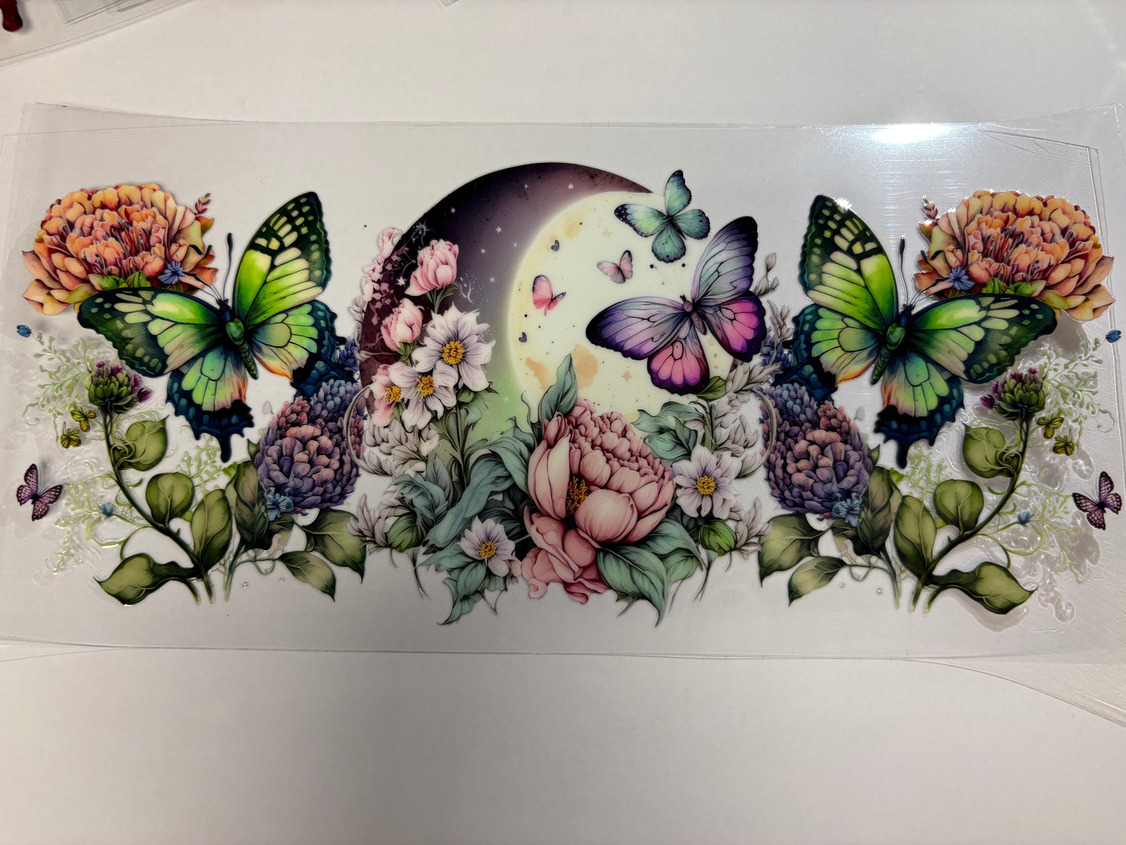 Butterfly